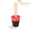 Bâton glace truffe fraise (x30)