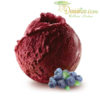 Sorbet Fruits Rouges 0% (5L)