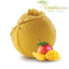 Sorbet Mangue 0% (5L)