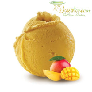 Sorbet Mangue 0% (5L)